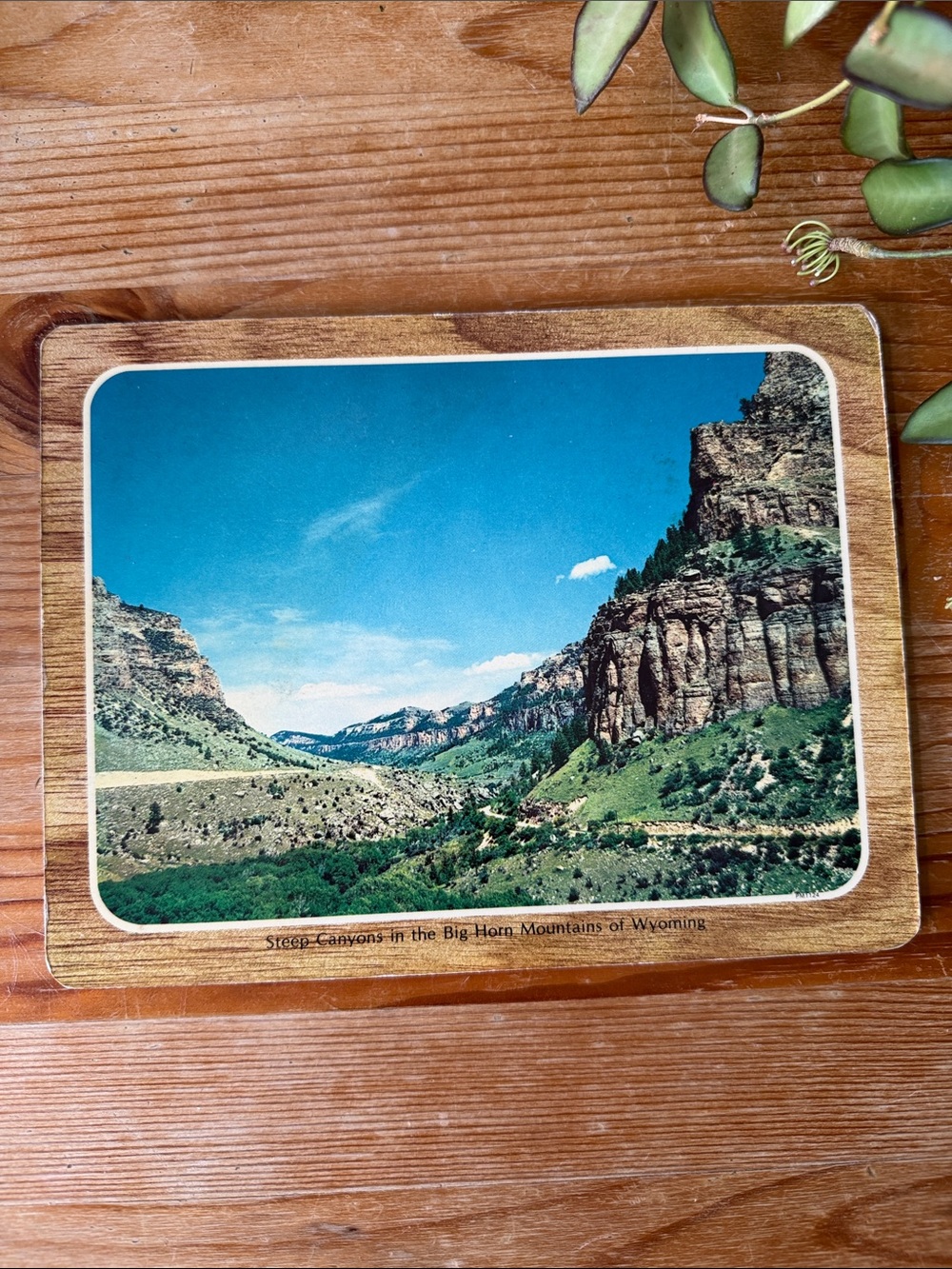 Vintage Scenic Wyoming Postcard Print Wall Art